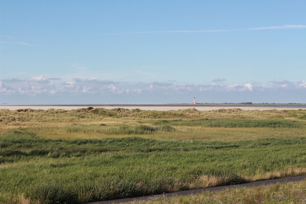 Mit SIXT share nach St. Peter Ording