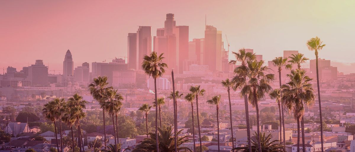 View of a city with palms and a skyline