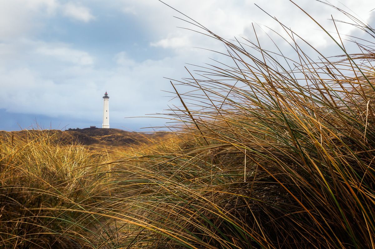 Premium Car Rental in Denmark SIXT rent a car