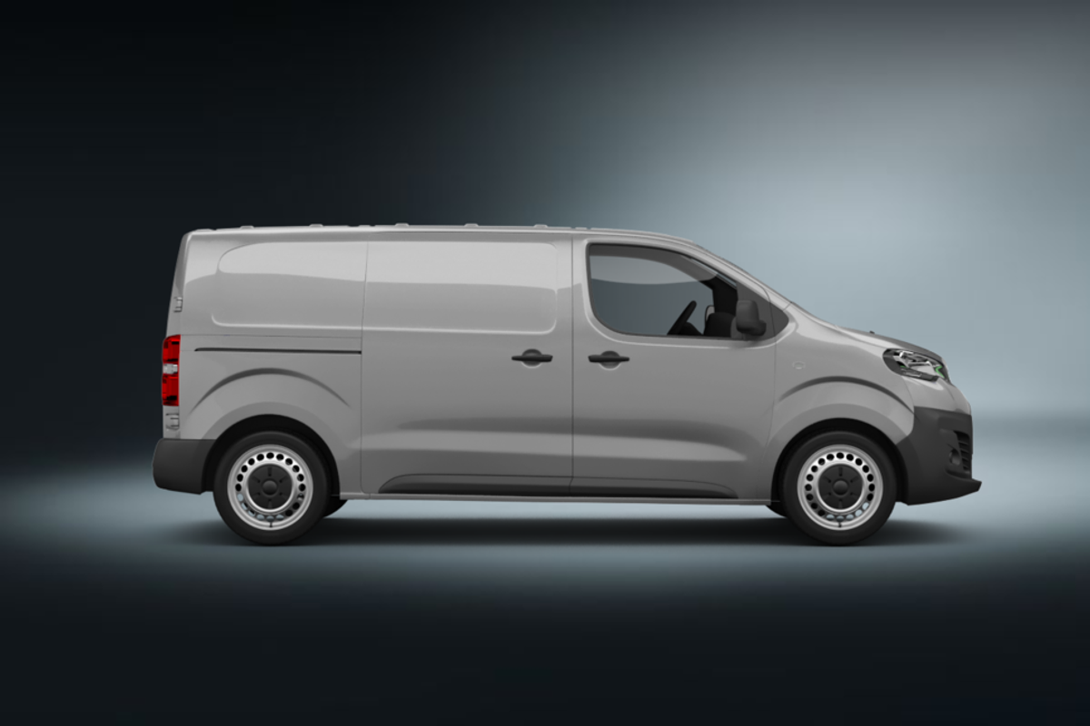 peugeot expert tepee van braun 2013