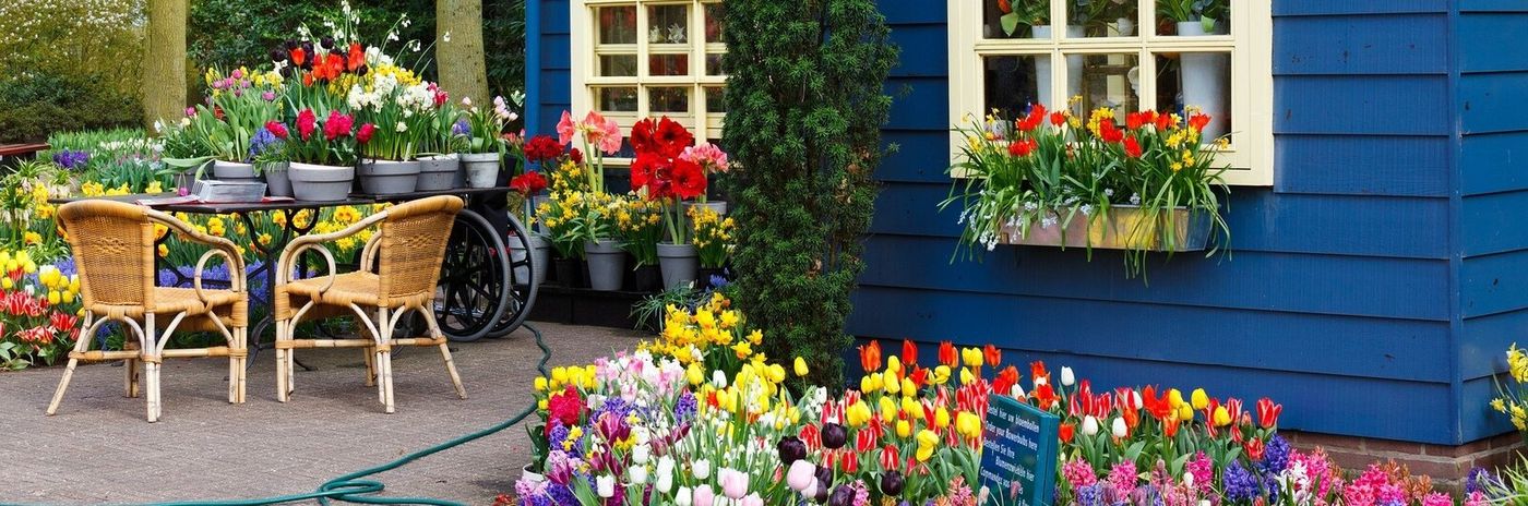 Netherlands City Header Netherlands House Tulips 
