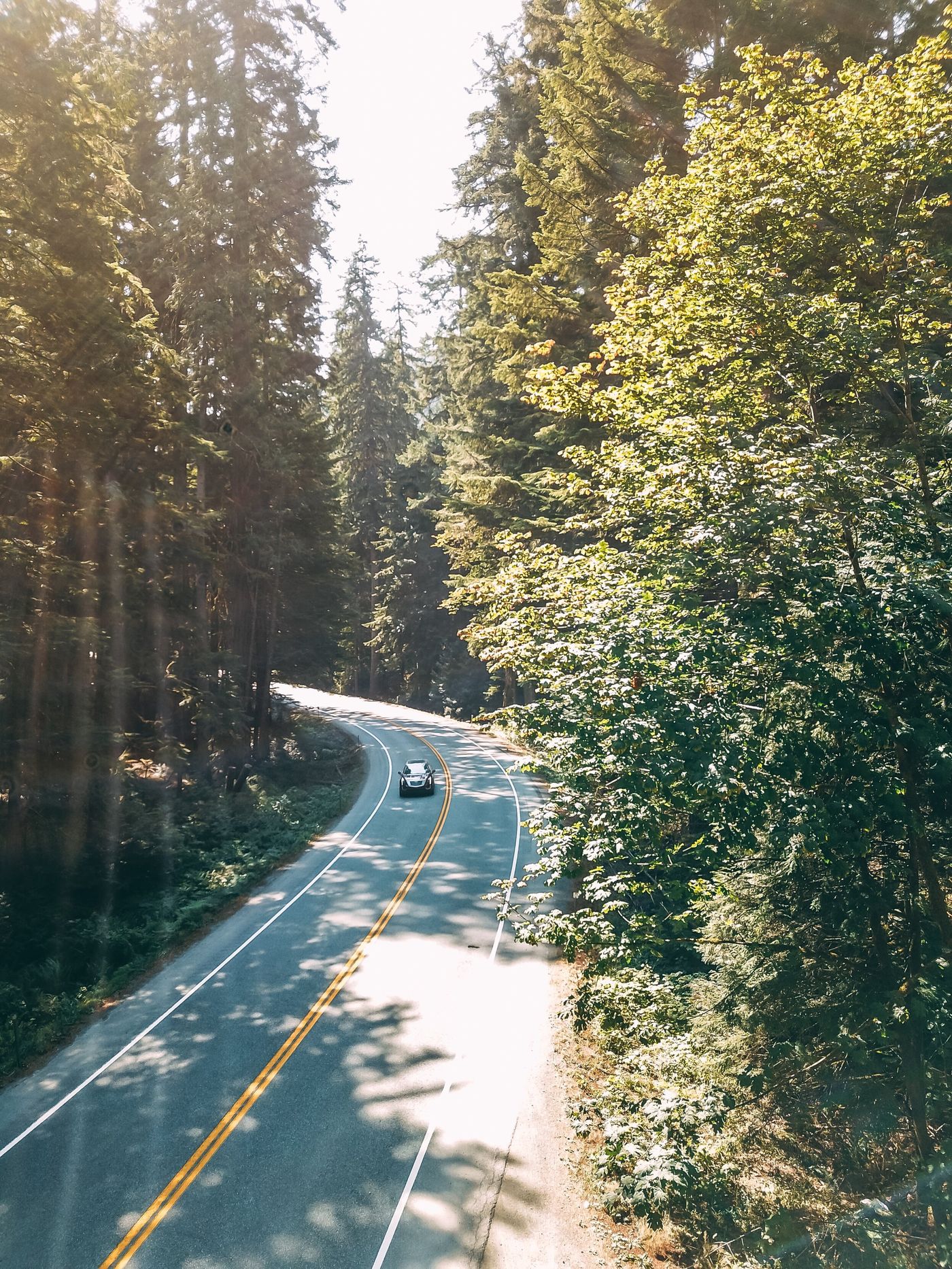 Car Rental Washington Dulles Airport IAD Flexible Bookings SIXT