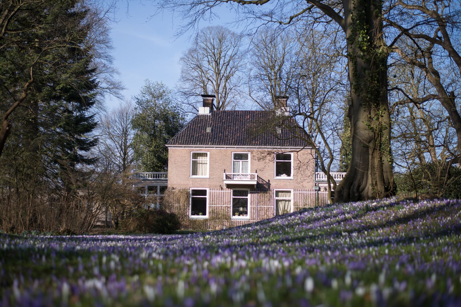 Alquiler de coches en Assen