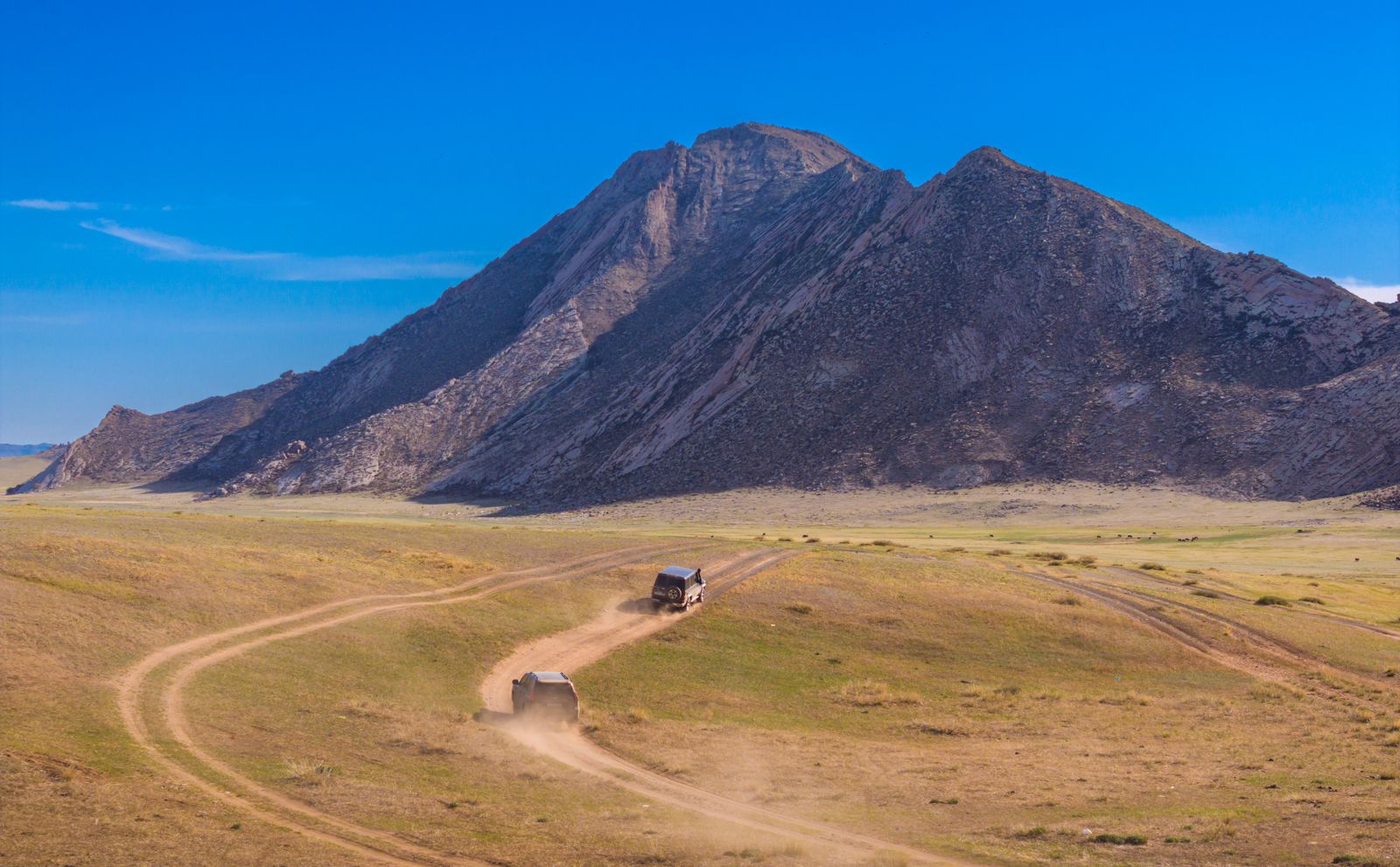 Car rental in Mongolia