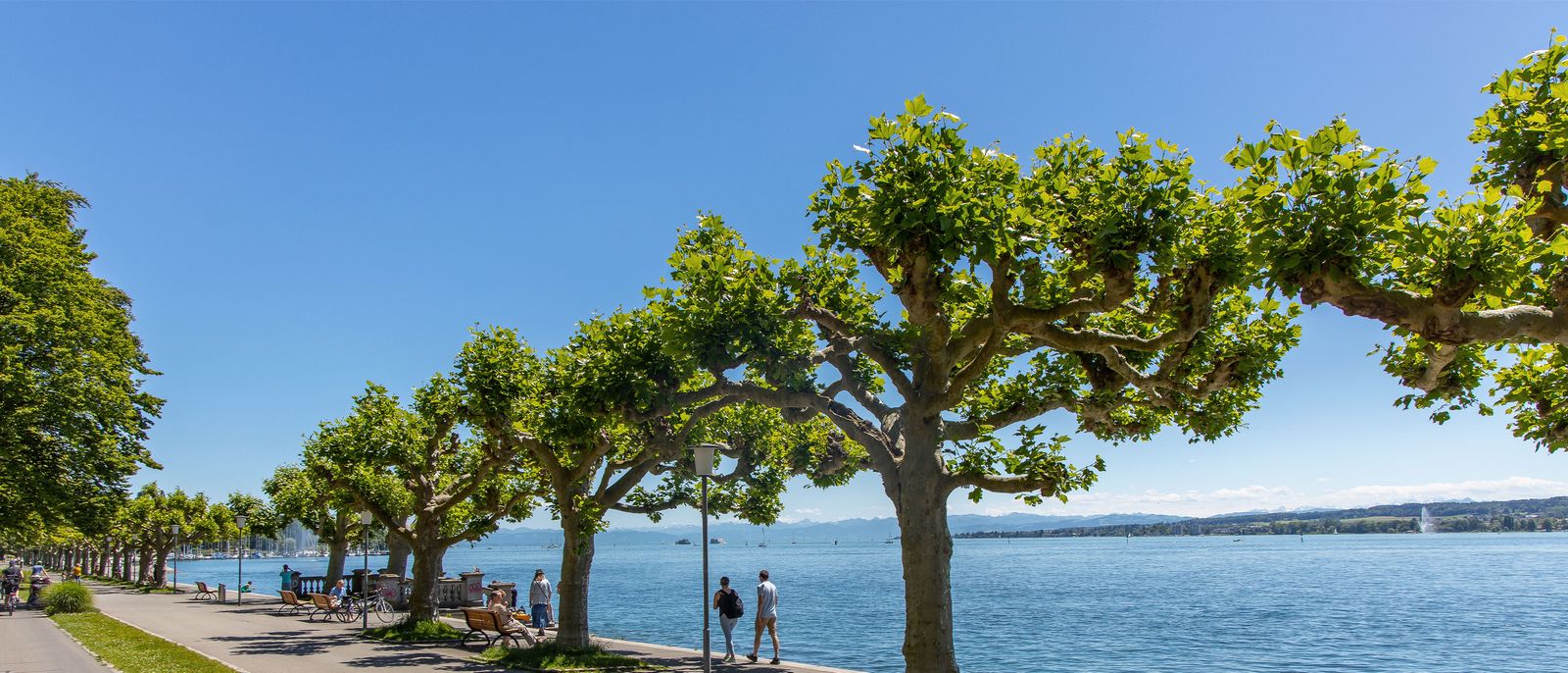 Alquiler de coches en Bodensee