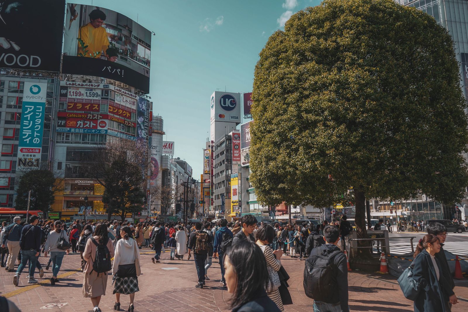 tokyo car rental shinjuku