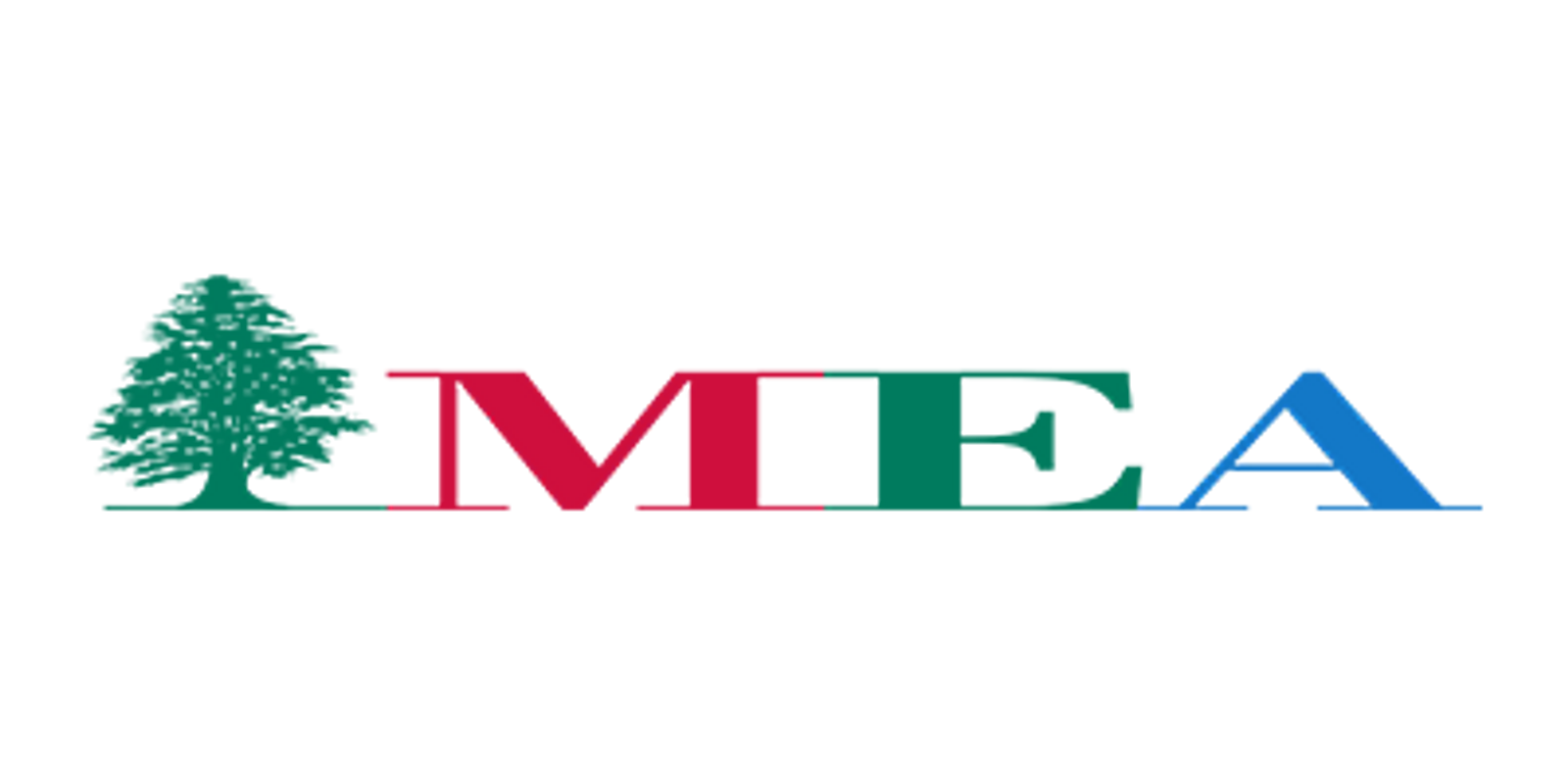 Logo MEA