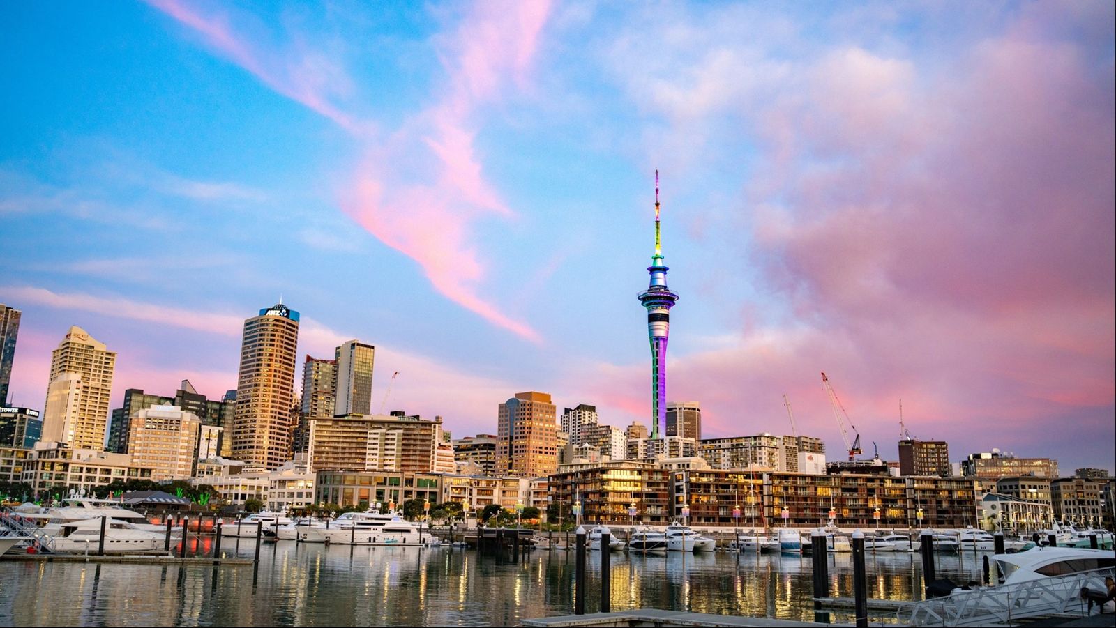 Car rental in Auckland