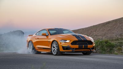 sixt car rental orlando florida reviews