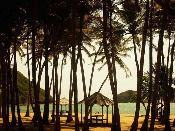 Car Rental with Sixt in Les Abymes, Guadeloupe