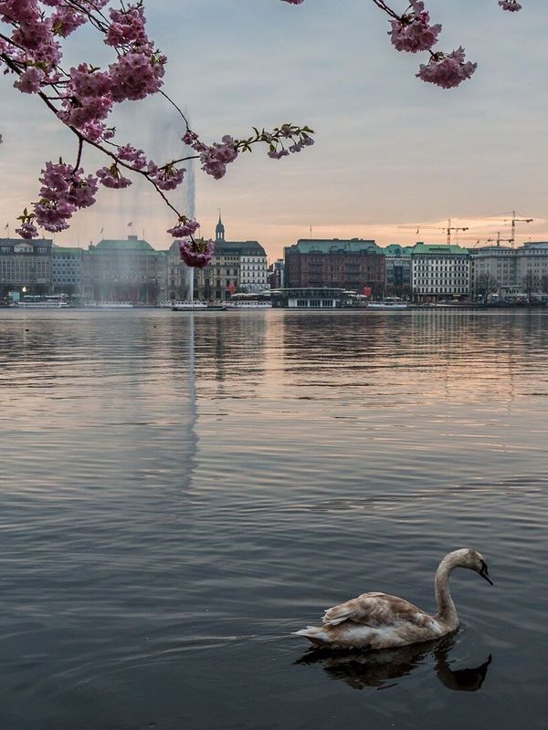 Car Rental at Hamburg City Centre | SIXT rent a car