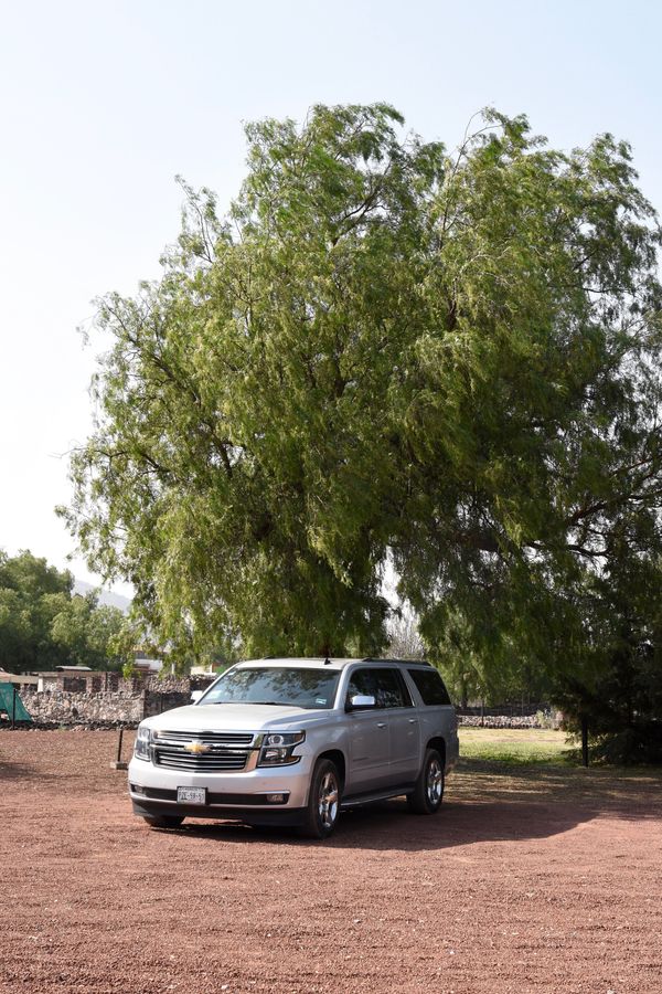 Car Rental at Mexico City Airport T1 SIXT rent a car