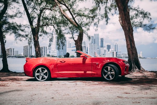 ¿Qué hacer en la ciudad después de contratar el alquiler de coches en Miami Beach?