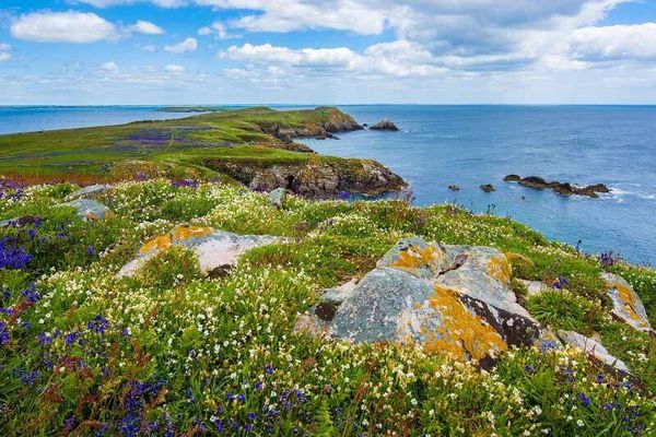 Auto huren in Ierland - huurauto online boeken