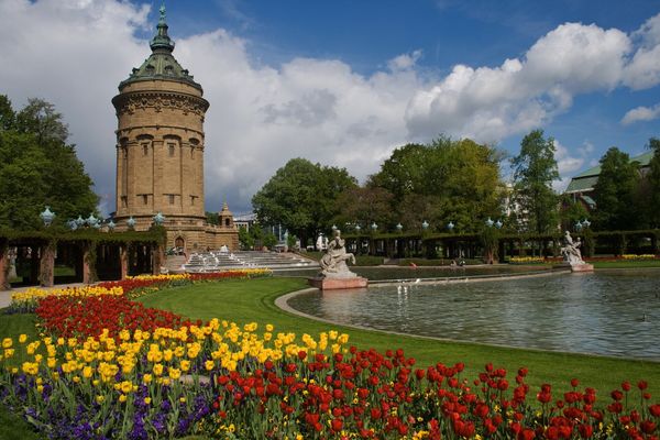 L'offre et les services de Sixt Mannheim Neckarau