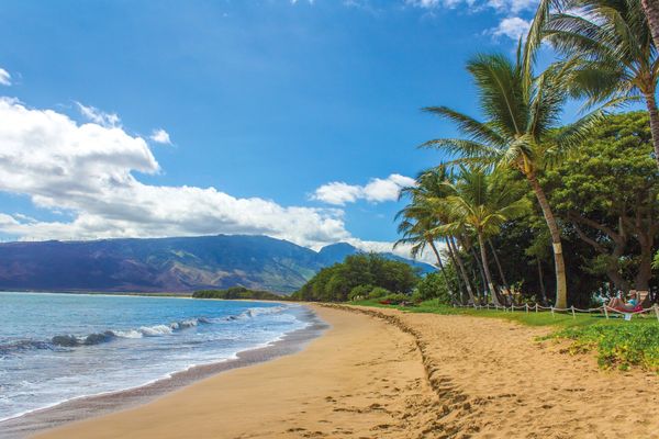 Maui Car Rental