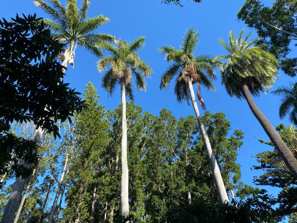 Découvrez Rockhampton avec votre voiture de location
