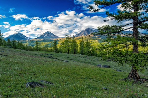Tips voor Mongolië in de zomer