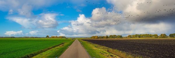 Les meilleurs endroits à visiter aux Pays bas