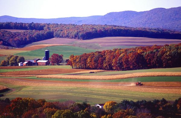 Pennsylvania Car Rental