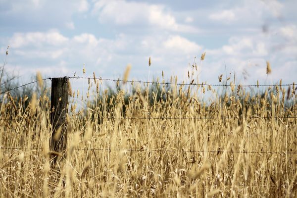 Unternehmungen mit dem Mietwagen in Armidale