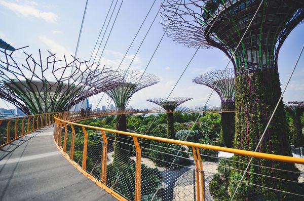 Places to go to in the city with a rented car