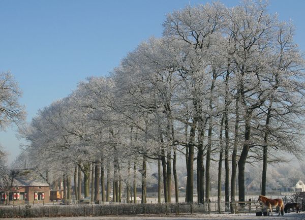 Die Sixt Station in Soest passt sich Ihren Wünschen an